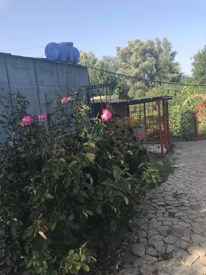 The Garden Villa Myrhorod Luaran gambar